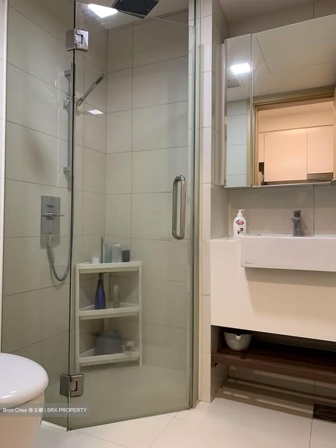Eight Riversuites (D12), Condominium #618861621